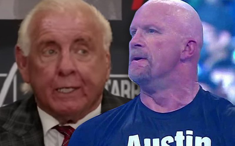 Ric Flair Can Picture Steve Austin Returning To WWE Before The Rock