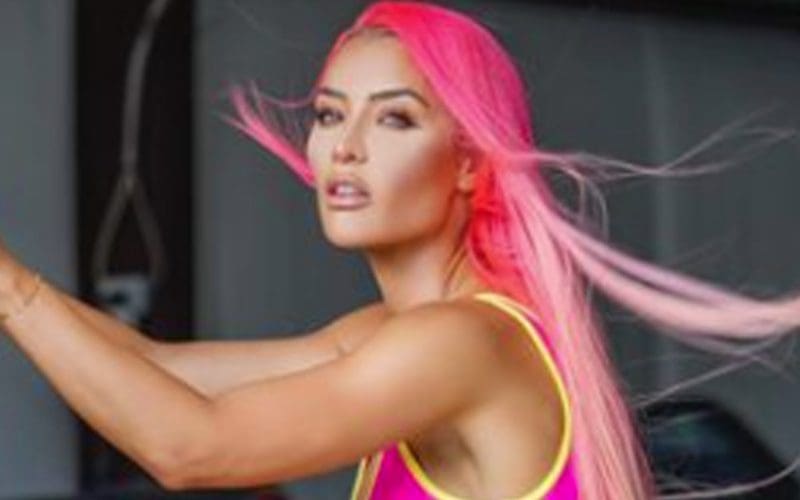 Eva Marie Turns Up The Heat In Pink Underwear Photo Drop