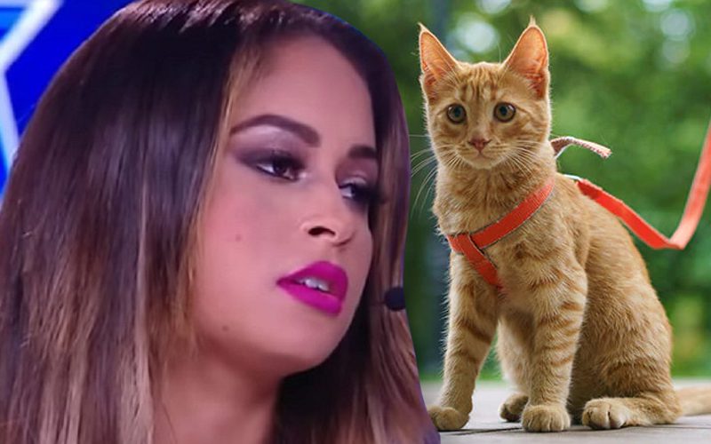 Kayla Braxton Has Strong Words For Cat Owners Who Take Things Too Far