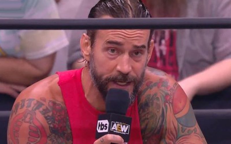 CM Punk is a controversial figure in pro wrestling no matter what, largely due to his outspoken nature. He has also managed to cause some controversy this week as well. His promo on Adam Page also has the AEW locker room divided and now CM Punk has backstage heat.