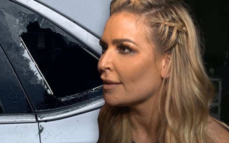 Natalya Breaks Into Her Own Car After Locking Her Keys Inside