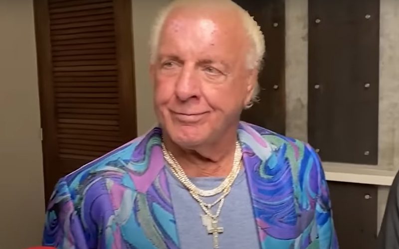 Ric Flair Is Very Happy About How His Last Match Turned Out