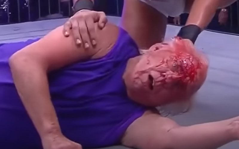 Ric Flair ‘Blacked Out’ Twice During His Last Match