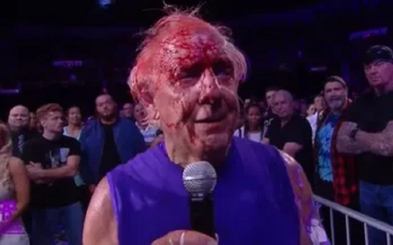 Ric Flair’s Last Match Was Part Of A ‘Master Plan’