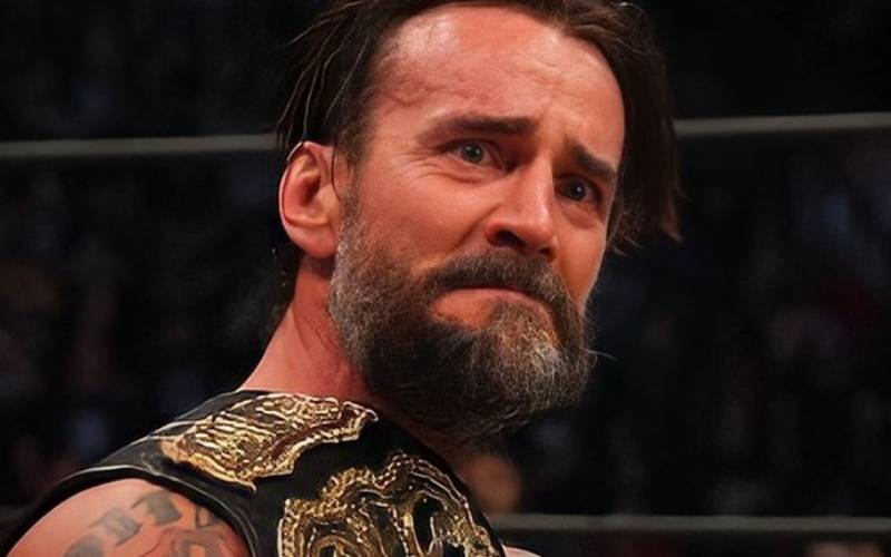Ex WWE Superstar Hopes CM Punk Can Find Happiness After AEW Drama