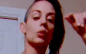 Kaitlyn Turns Up The Heat With Lingerie Video Drop