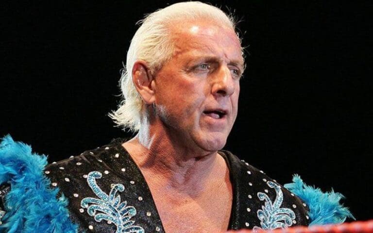 Ric Flair Didn't Like Sting's Joker Gimmick In Impact Wrestling