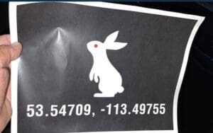 WWE Leaves 'White Rabbit' Surprise On Fans' Cars After SmackDown