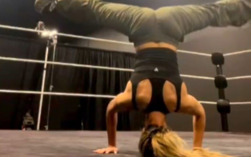 Aliyah Has Started Training For Her WWE Comeback