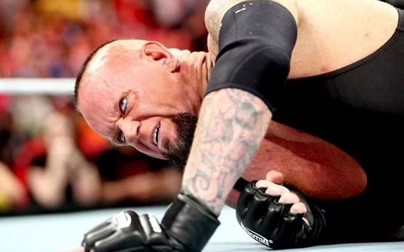 The Undertaker Often Collapsed Due To Intense Pain After His Matches