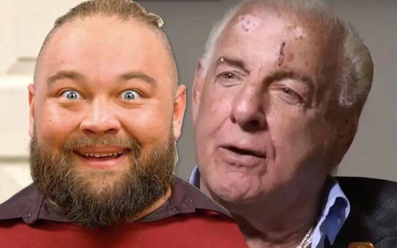 Ric Fair Doesn’t Understand Why WWE Released Bray Wyatt In The First Place