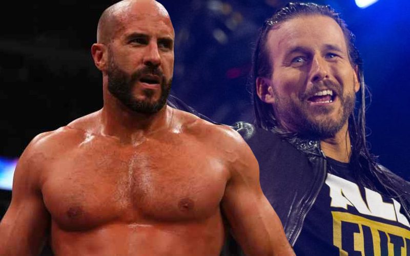 Adam Cole & Claudio Castagnoli Tease Future WWE Appearance