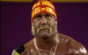 Hulk Hogan Allegedly Got WWE Legend Fired From The Company