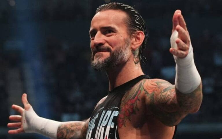 CM Punk Represented Big Time In 'Walking Dead' Series Finale