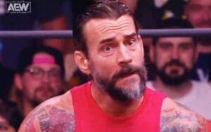 CM Punk's Friends Think He Could Permanently Retire From Pro Wrestling