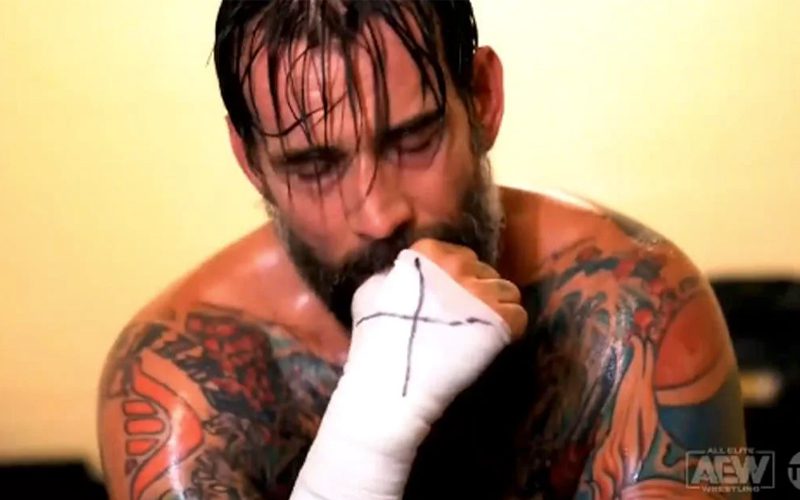 CM Punk Apologized To Former WWE Superstar After Breaking His Nose