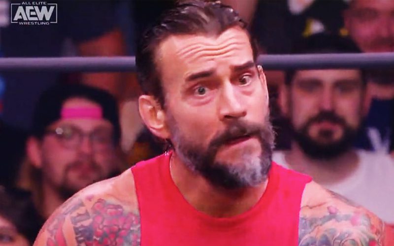 CM Punk’s Friends Think He Could Permanently Retire From Pro Wrestling