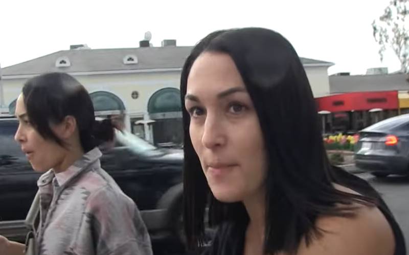 Nikki Bella Gives Huge Props To Logan Paul’s Wrestling Ability