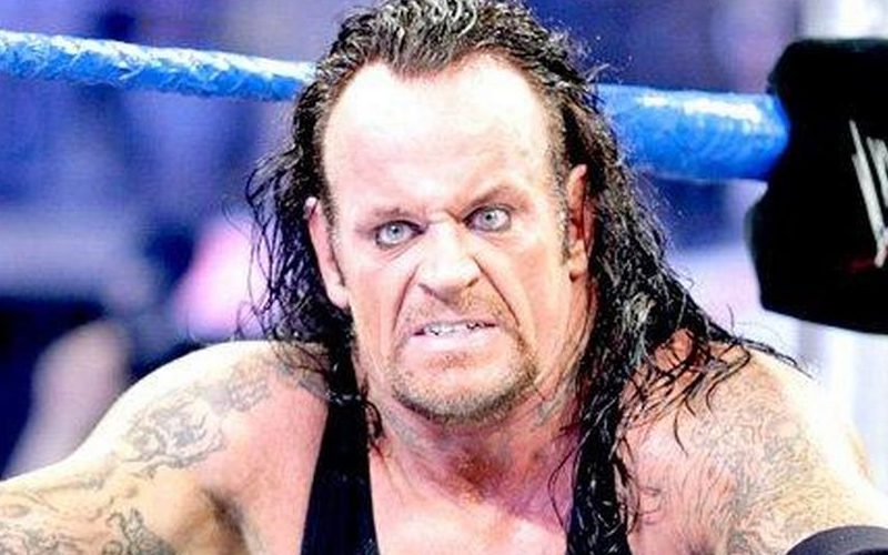The Undertaker Threw A Chair Backstage In Pure Anger After The Montreal Screwjob