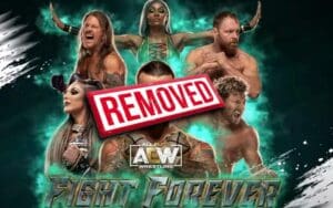 Fans Outraged After CM Punk Is Removed From 'AEW Fight Forever' Cover Art