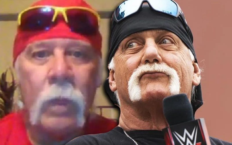 Hulk Hogan Has No Issue With Randy Hogan Jacking His Gimmick