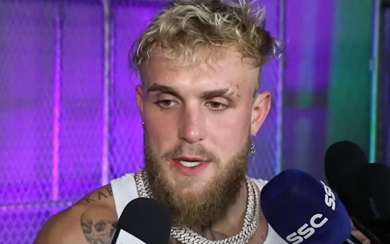 Jake Paul Stakes His Claim At Future WWE Title Run With Logan Paul