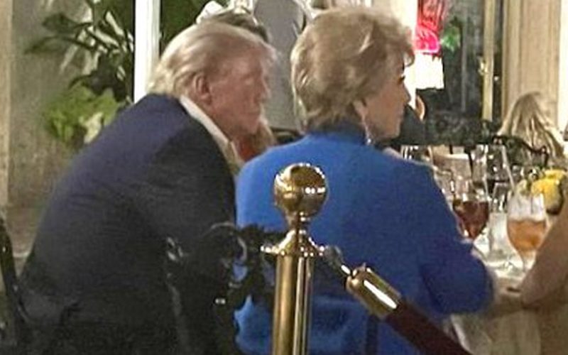 Linda McMahon Spotted In High-Power Meeting With Donald Trump
