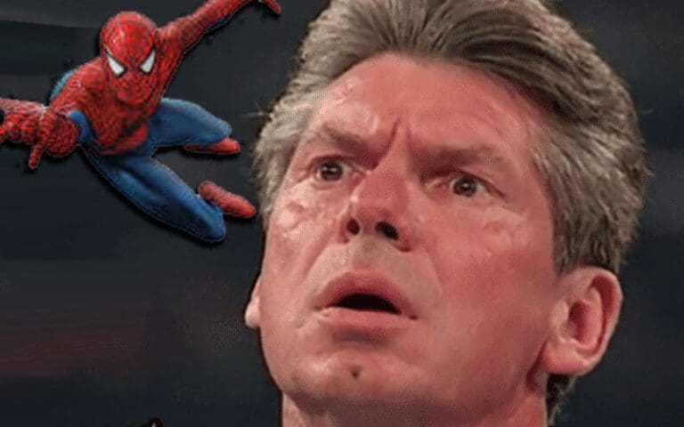Vince McMahon Once Pitched Idea To Use Spider-Man's Web To Escape Hell In A Cell