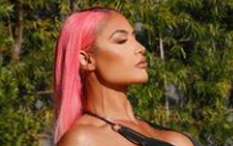 Wwe Eva Marie 2022
