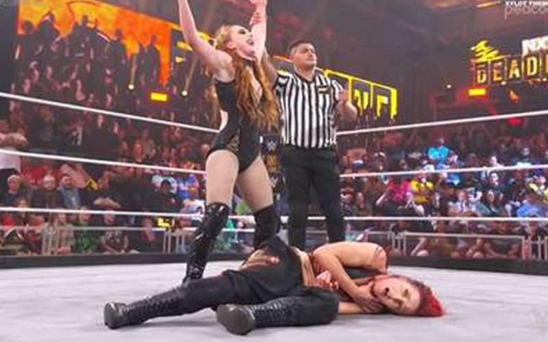 Shawn Michaels Defends Bizarre Finish Of WWE NXT Deadline Match