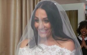 Nikki Bella Getting New E! Miniseries