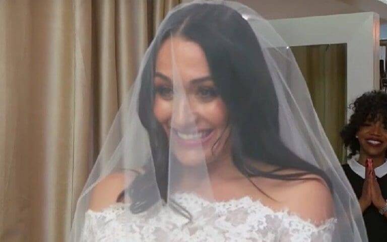 Nikki Bella Getting New E! Miniseries