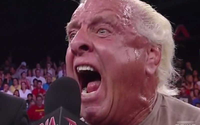 Ric Flair Mocked For Having An Ego As Big As Mount Everest