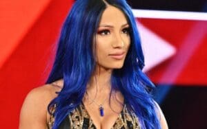 NJPW Parent Company CEO Drops Big Sasha Banks Tease
