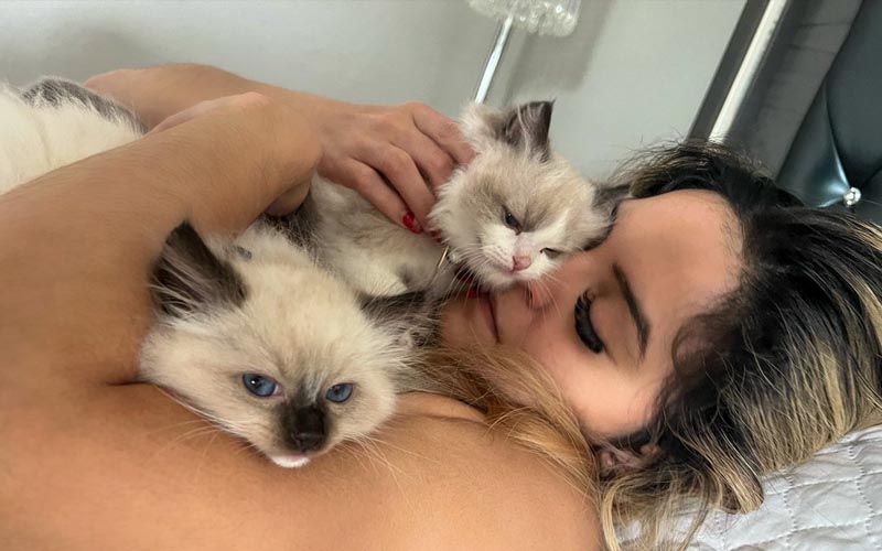 Tay Melo Turns To Fans For Help With Her Cat Problem