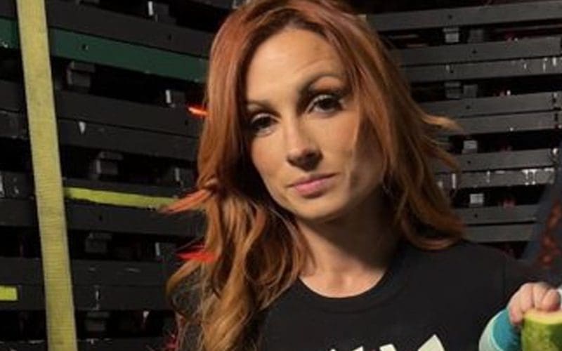 Becky Lynch Photoshops Sami Zayn’s Face On Her Daughter Roux