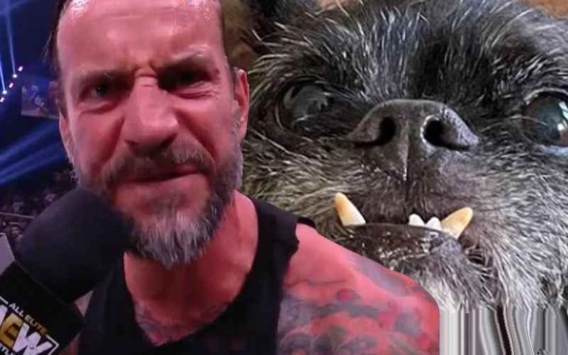 CM Punk Seemingly Confirms Report About His Dog Larry Getting Hurt In AEW All Out Brawl