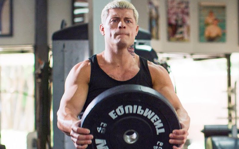 Cody Rhodes Went Through Boxing Training To Prepare For WWE Return