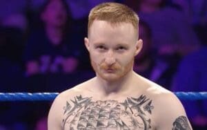 Jack Gallagher Gets Demolished In Pro MMA Debut