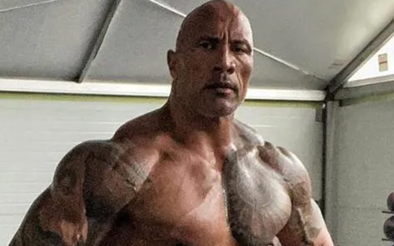 The Rock Called ‘Sick & Twisted’ Over His Black Adam Preparation