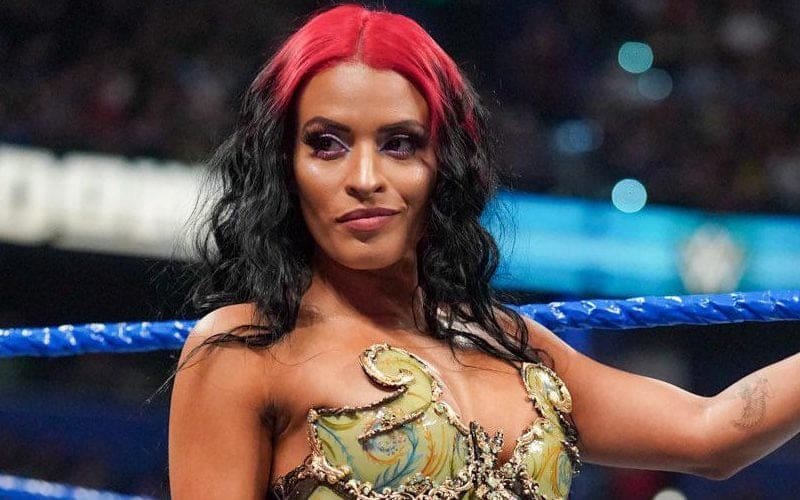 Zelina Vega ‘Praying For Chance’ To Portray Popular Superhero