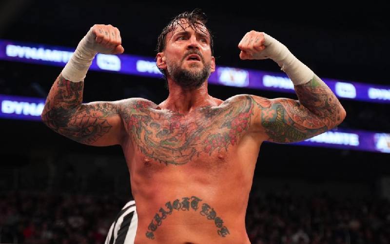 CM Punk Tells Fan He Will Wrestle Again Just To Upset Them
