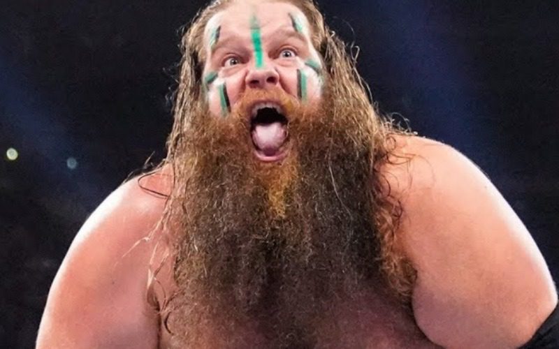 WWE Rehashed Creative Pitch For Ivar Because Of OnlyFans