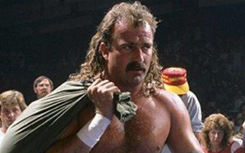 AEW Discussed Using Mechanical Snake Alternative For Jake Roberts