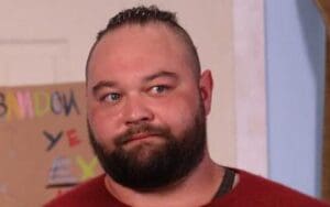 Bray Wyatt's Character Dragged For Playing With Puppets