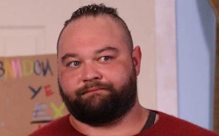 Bray Wyatt's Character Dragged For Playing With Puppets