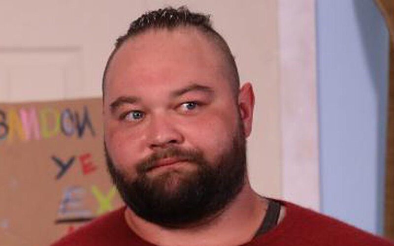 Bray Wyatt’s Character Dragged For Playing With Puppets