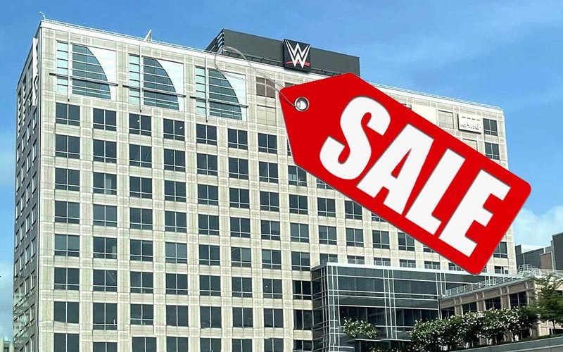 TV Executive Believes WWE Sale Will Take Some Serious Time