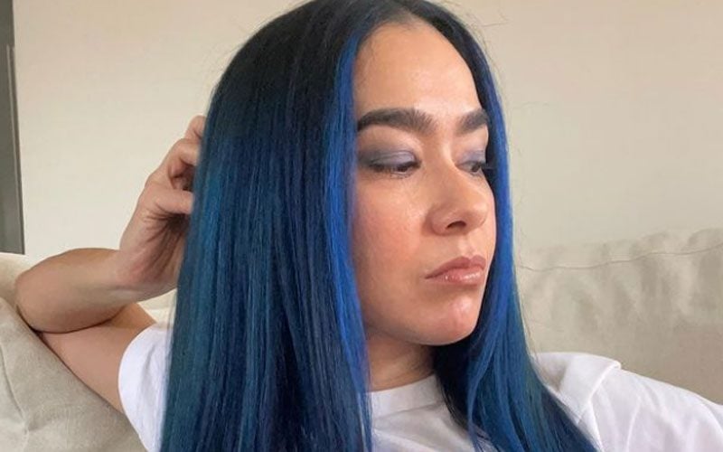 AJ Lee Shows Off New Look