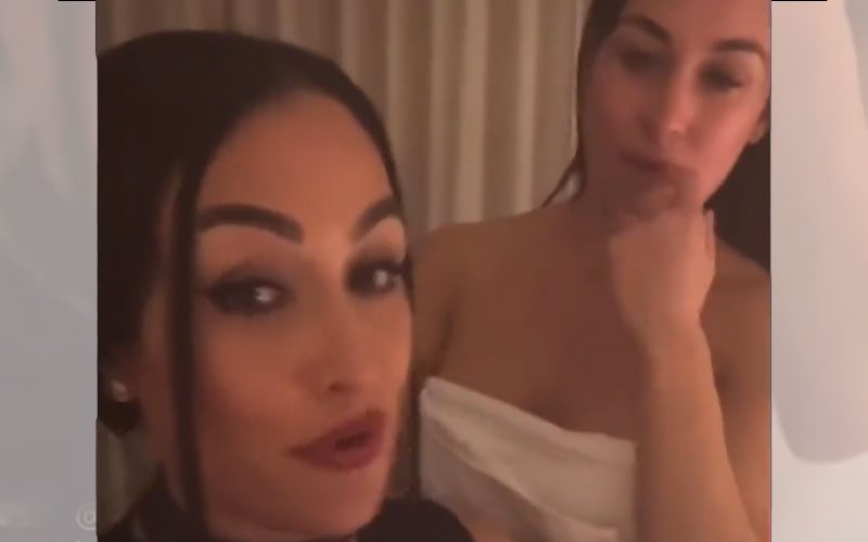 The Bella Twins Didn’t Appear On WWE RAW XXX Due To Creative Issues